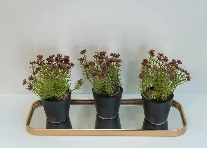 The Whole Packet C5 Center With Parking * 拉里萨